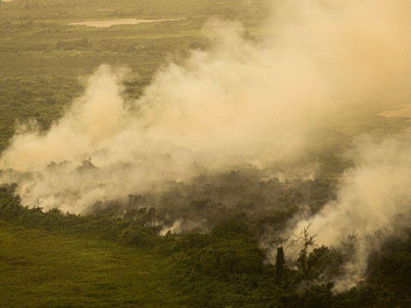 FAB faz três voos hoje sobre o Pantanal para combate às queimadas