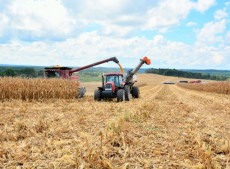 Informações disponíveis no Observatório Agro Catarinense servem de suporte para definir os rumos do setor